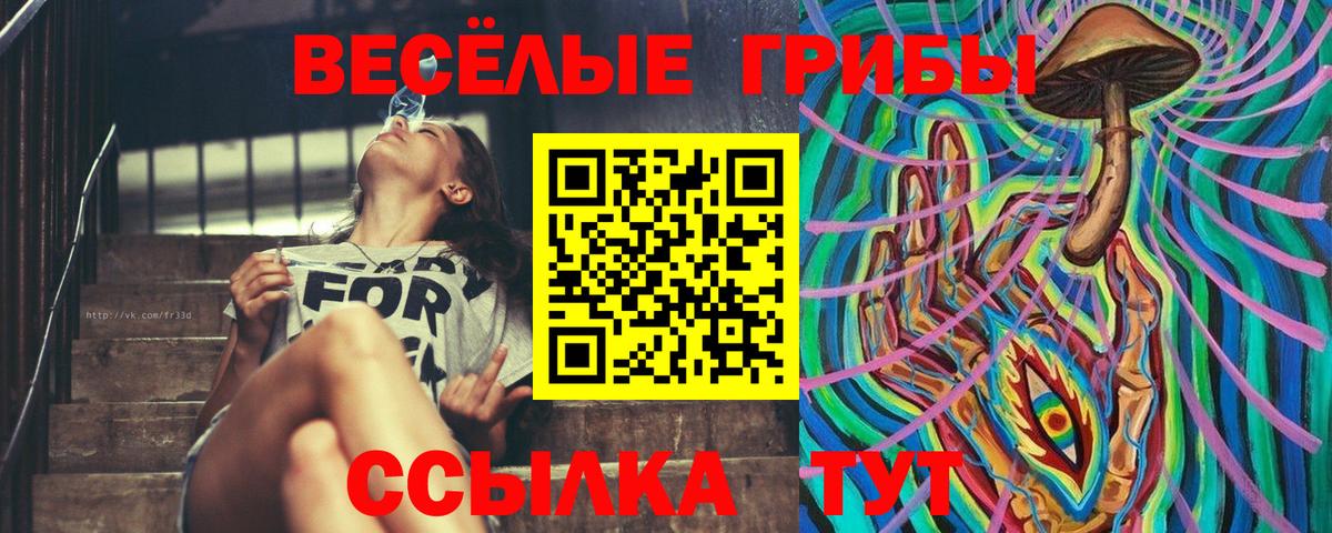 наркошоп  Вход с VPN  Новосибирск  Галлюциногенные грибы прущие грибы 