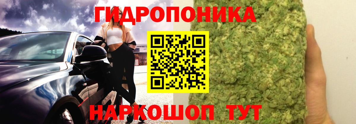 Бошки Шишки OG Kush  Вход с VPN  Новосибирск  Каннабис марихуана 